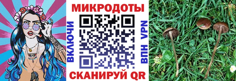 mega рабочий сайт  Кореновск  Галлюциногенные грибы MAGIC MUSHROOMS 